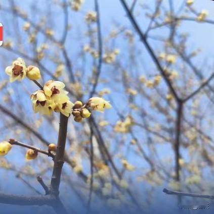 你是落在我枝头的小鸟，一声清脆鸣叫便唤醒我沉睡的灵魂。曾经的我四处游走，灵魂在漂