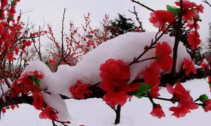 市场的核心人气方向究竟有哪些？周三沪指能否实现向上突破？
回顾周二的大A市场，三