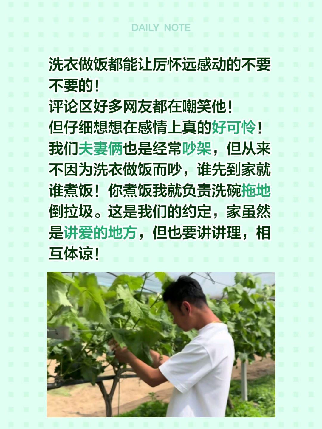 为什么洗衣做饭能感动厉怀远？洗衣做饭都能让厉怀远感动的不要不要的！
评论区好多网
