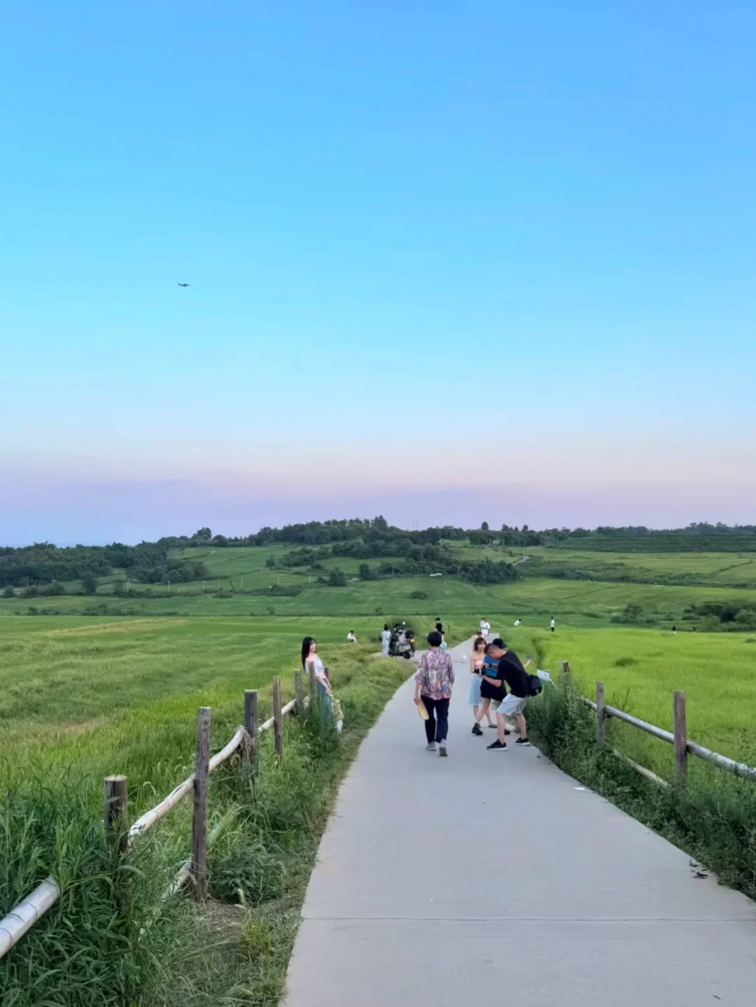 谁说稻田尽头不能看到海？