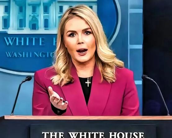 中日闹那么多天，躲在日本背后的第二条大鱼被我们钓了出来。
 
麻烦看官老爷们右上