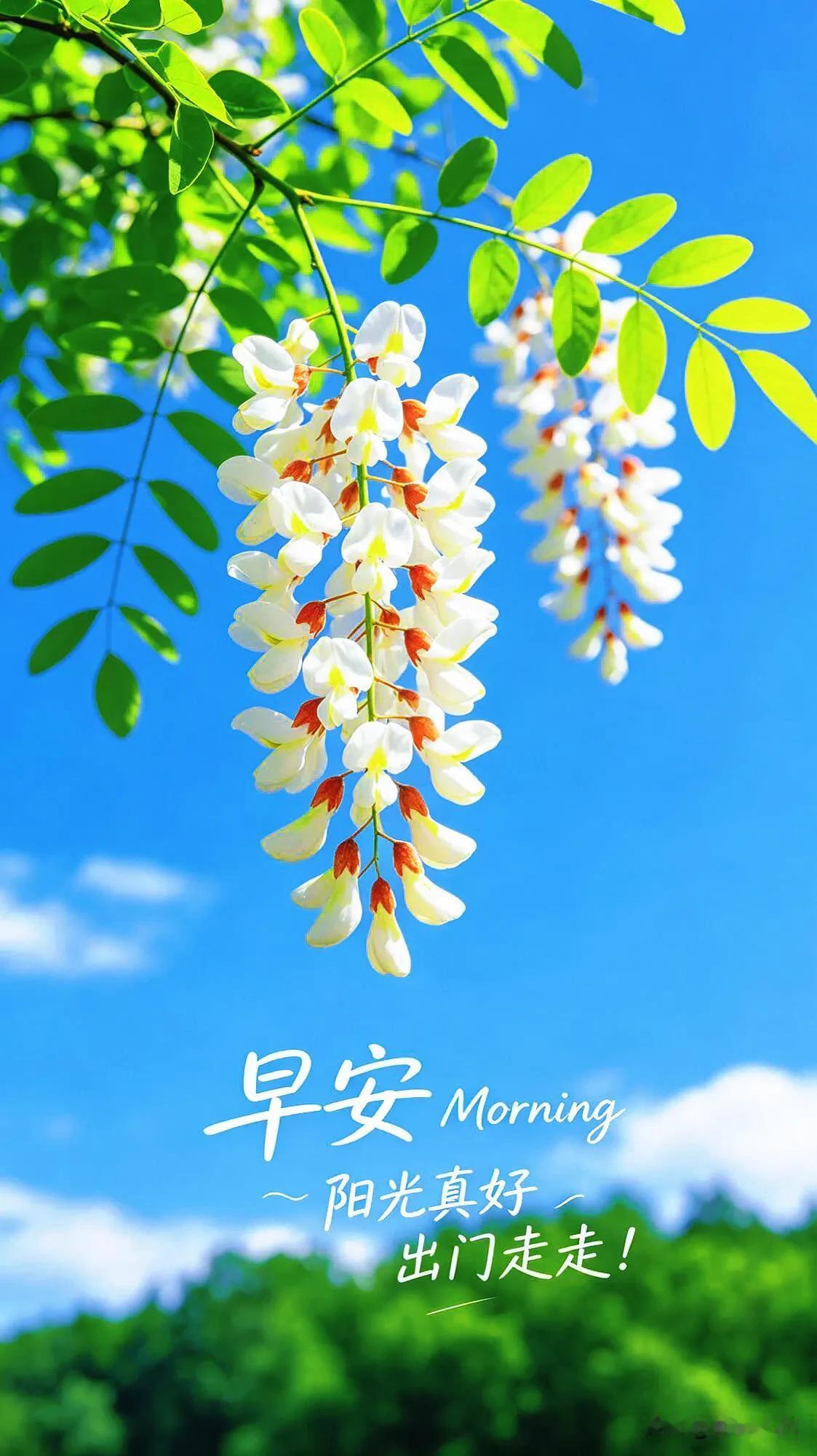 心有暖阳，四季皆安，新的一天，平安顺遂，喜乐无忧。