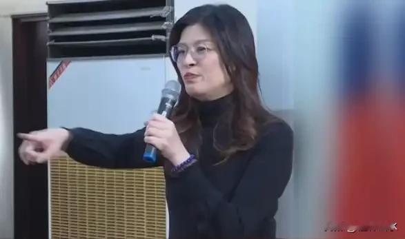郑丽文拒绝三国出访邀请的背后，透视她成为台海局势关键人物的立场与决心。

美国、
