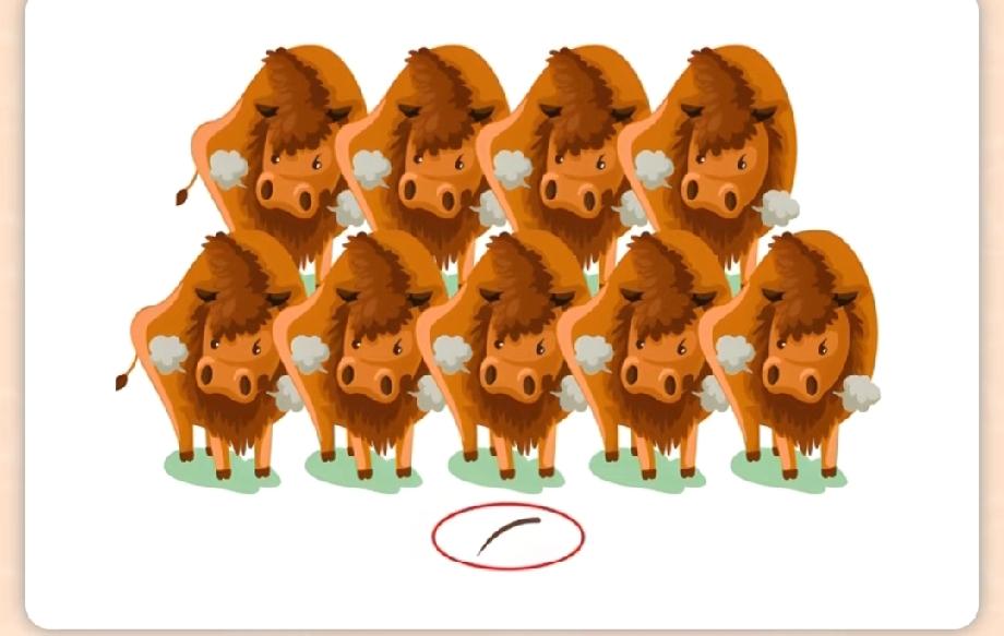 看到一群牛加一根毛，我赌你猜不出这个成语！谁能秒答算你牛！