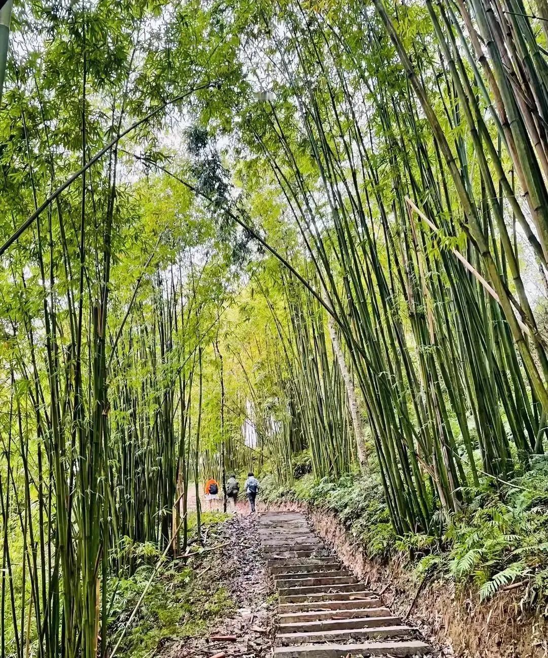 刷到个帖子，老公被堂妹连环call催回老家给八竿子打不着的大婶随份子，直接炸毛：