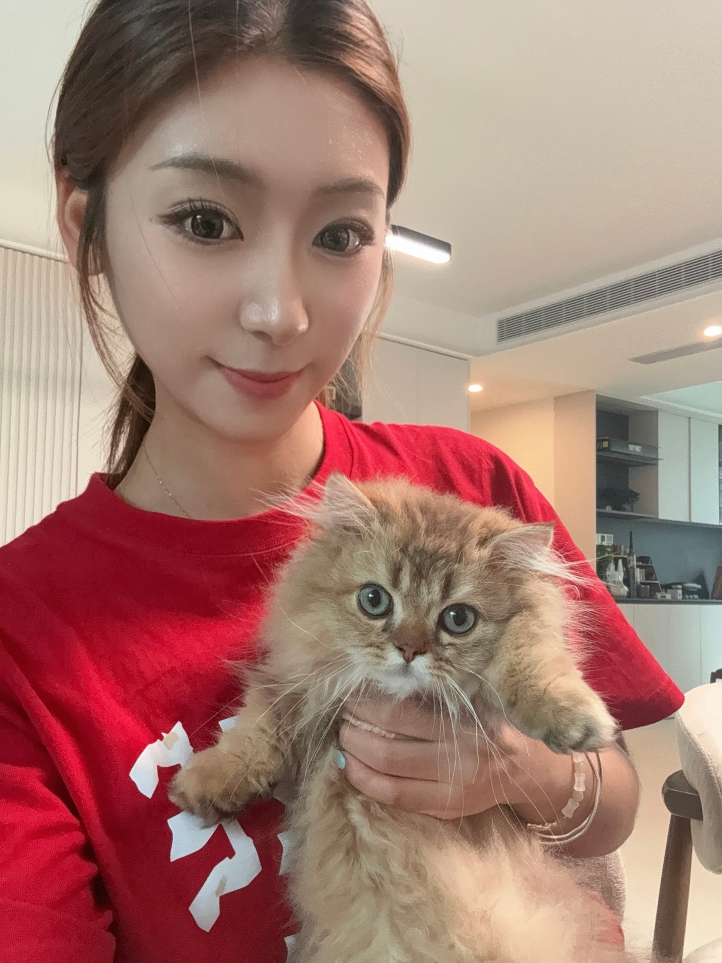 今日份毛毛与猫～图2是邪恶小崽！ 