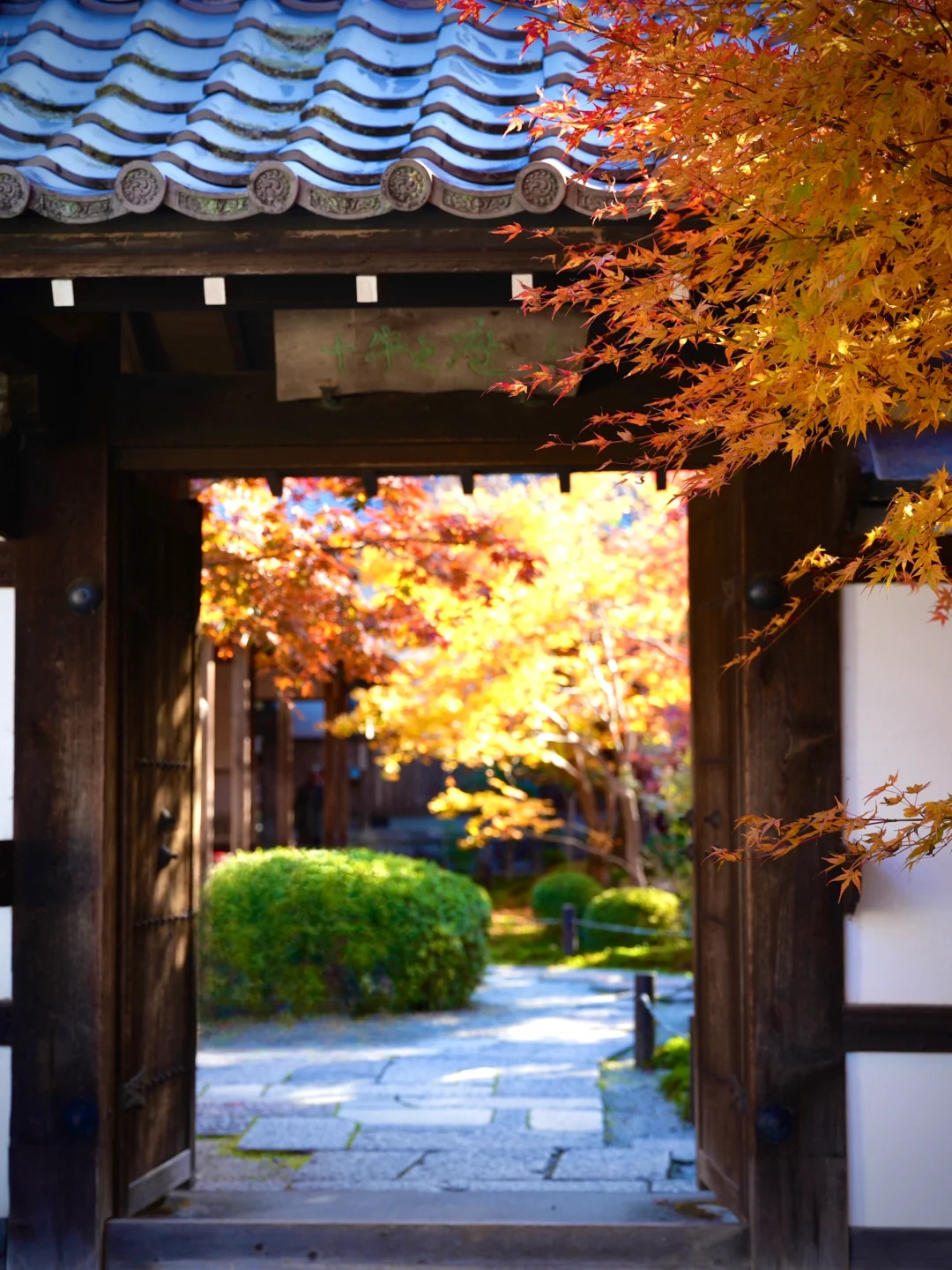 京都圆光寺 | 不用预约拍到的人生照片