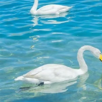 每日一善 阳光信用每日一善 能让自己登高，不是借用他人肩膀，而是自身学识；能让自