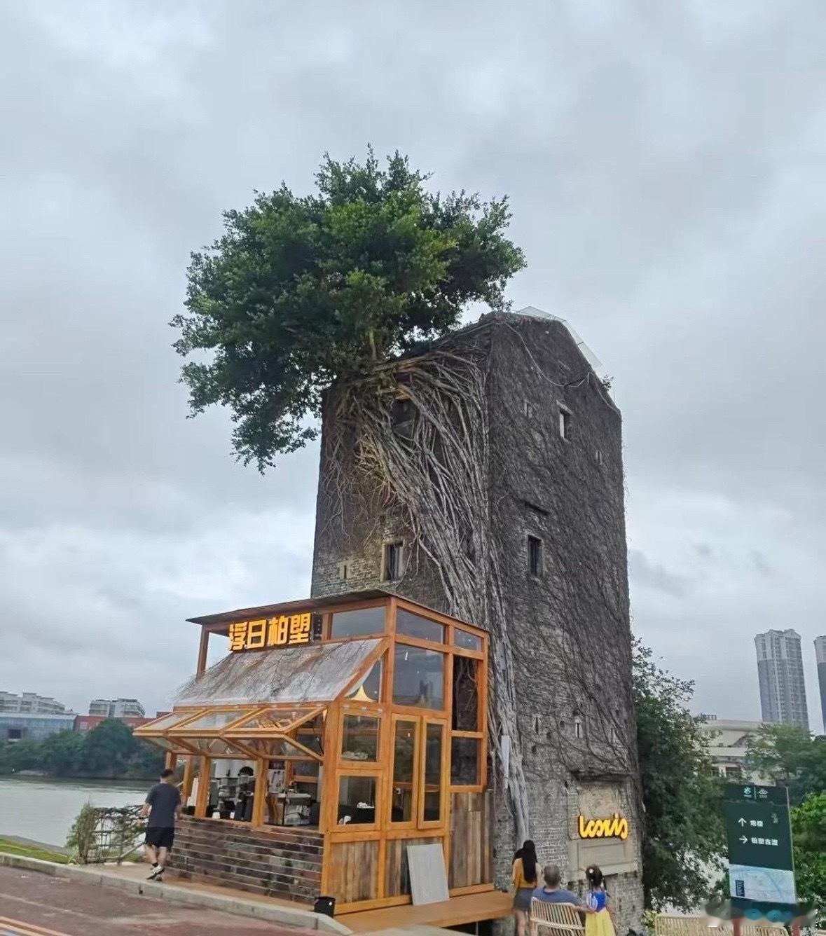 同一地点，相隔一年 