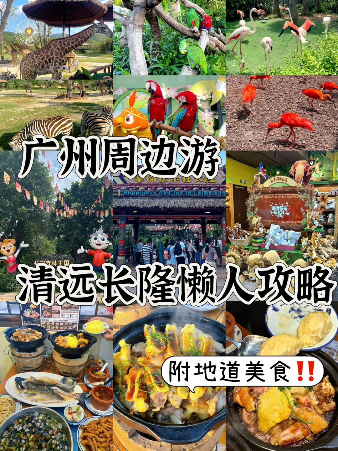 清远一日游！周末长隆逛吃懒人攻略