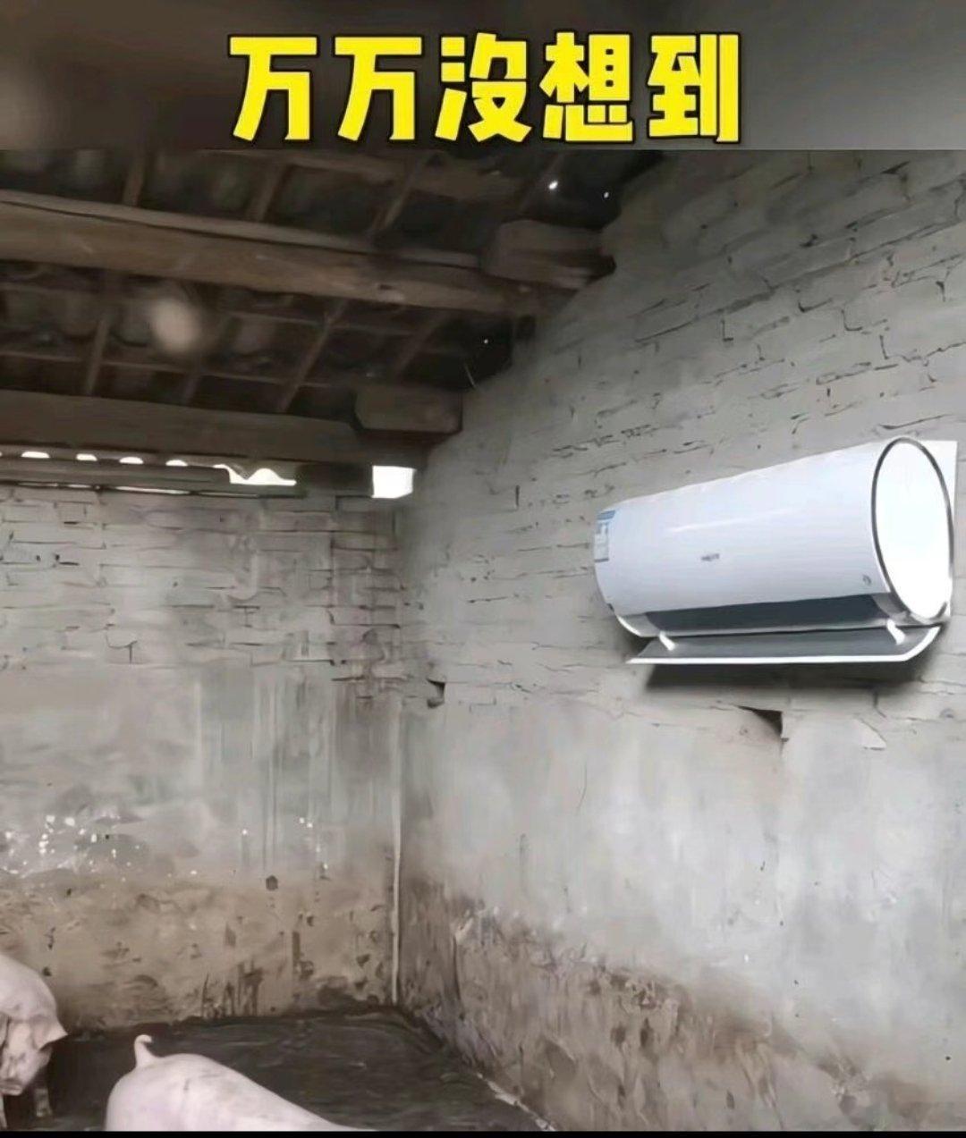 他们鼓吹猪场装空调，这样的人真的去过猪场么？了解空调的原理不？如此瓦房和巨大空间