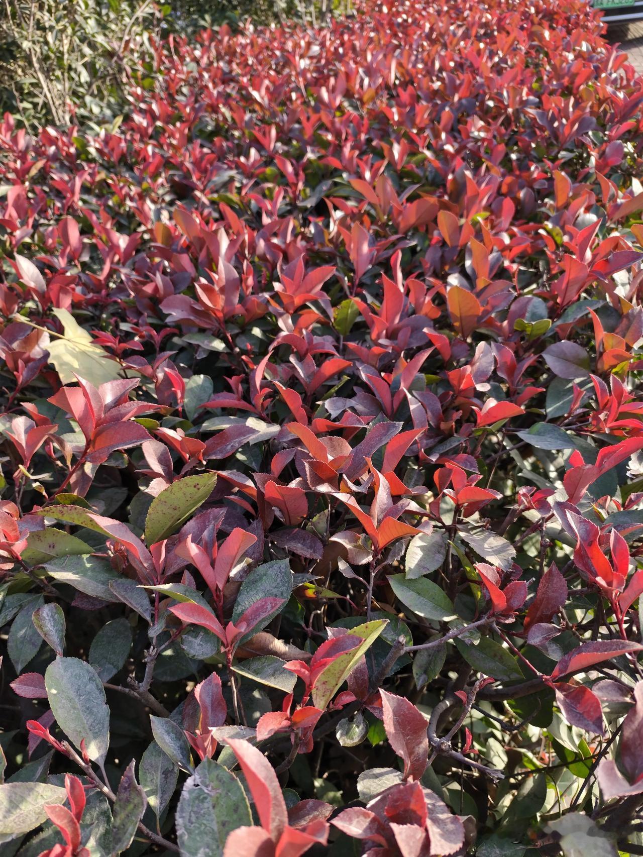 我觉着最不该涨价的就是咱老百姓日常离不开的东西！柴米油盐酱醋茶，天天做饭都得用，