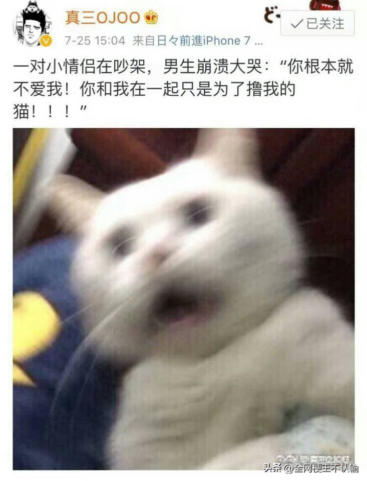 女生：“嘘，别吵到猫。”