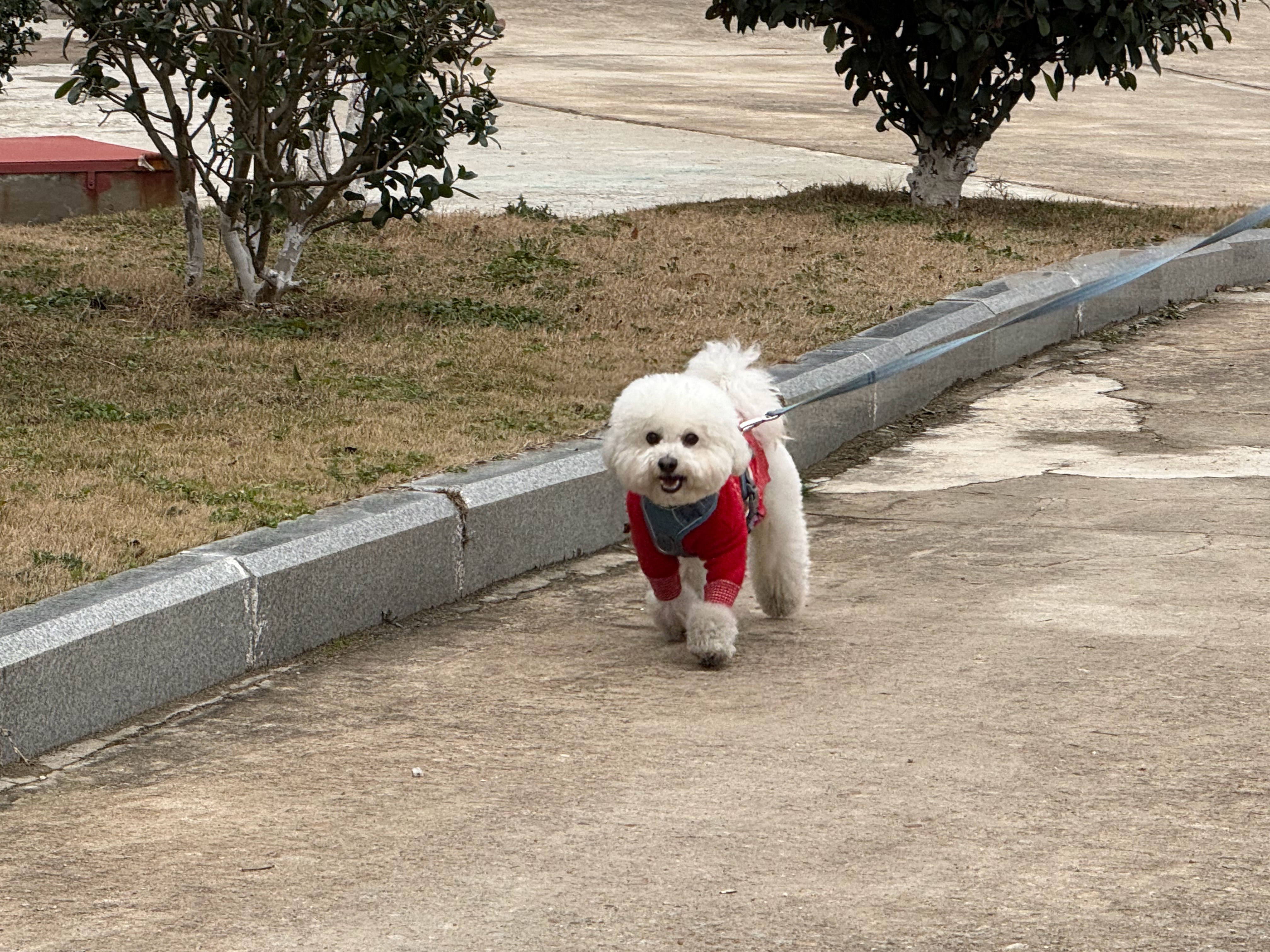 这次往返7000公里的云南自驾，在沃尔沃XC60和智己LS7之家，家里人一致选择