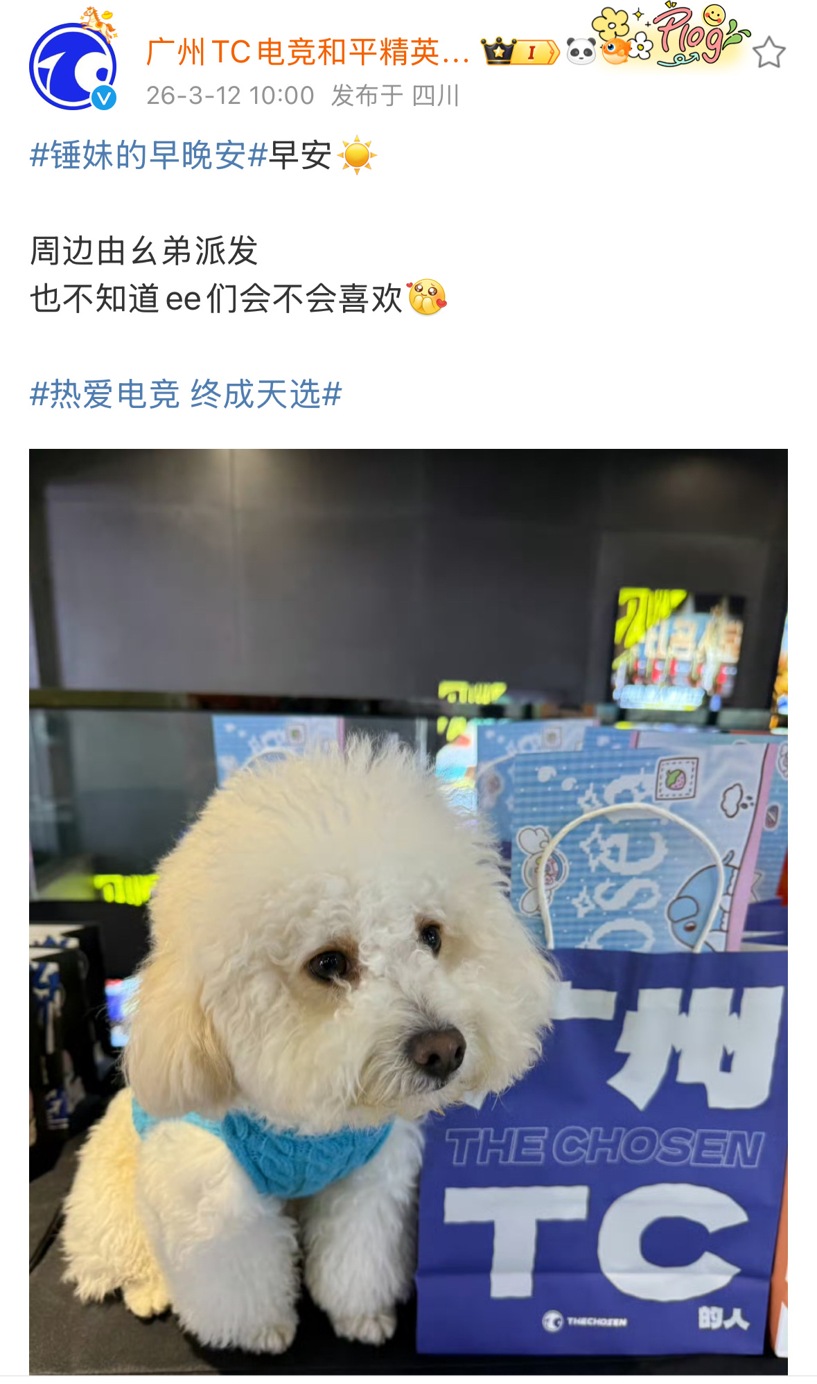 TC电子竞技俱乐部  好可爱的幺弟2026pel2026pel春季赛