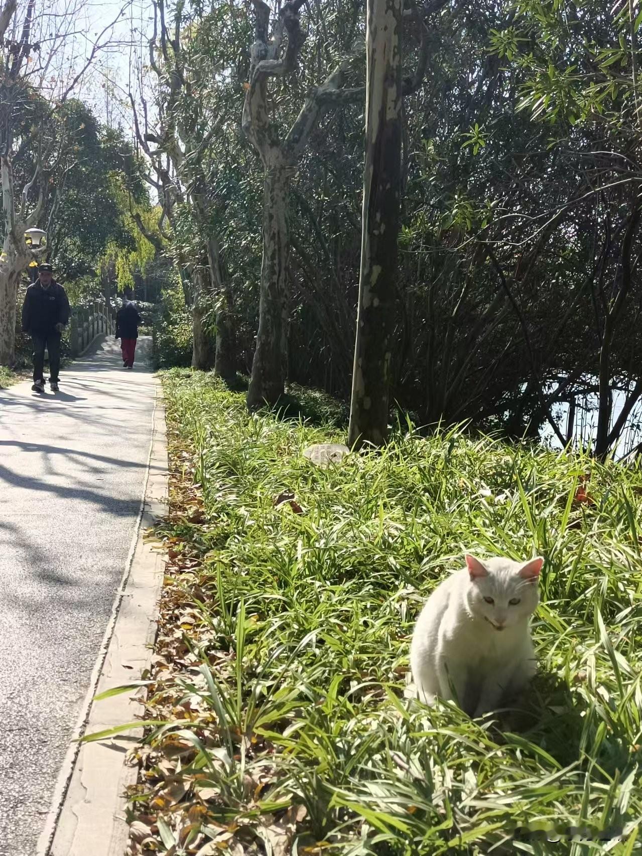  
旅行中的作息与平常完全不一样，总是要尽最大可能地使用时间，将日程排到最满，以