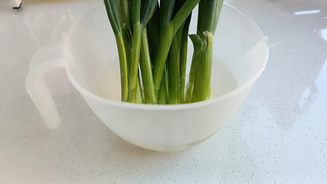 我现在真会过日子！早市买把小葱，4.5元一斤，都是带根的，把它水培起来，吃个新鲜