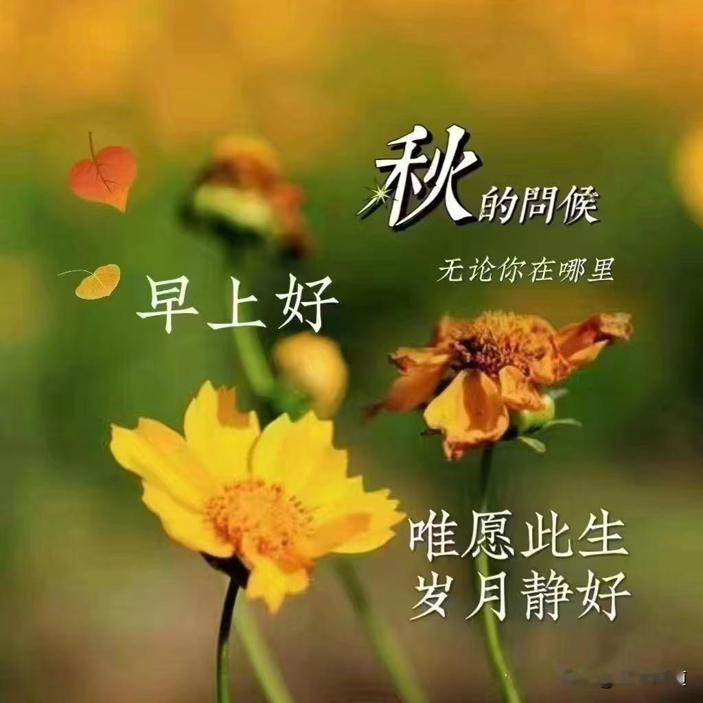 诚者，天之道也。诚之者，人之道也。诚者，不勉而中不思而得：从容中道，圣人也。诚之