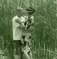 有爱难分舍地方

草丛寻爱难离场

红薯有情也迷人

老年有爱在橱房

情意绵绵