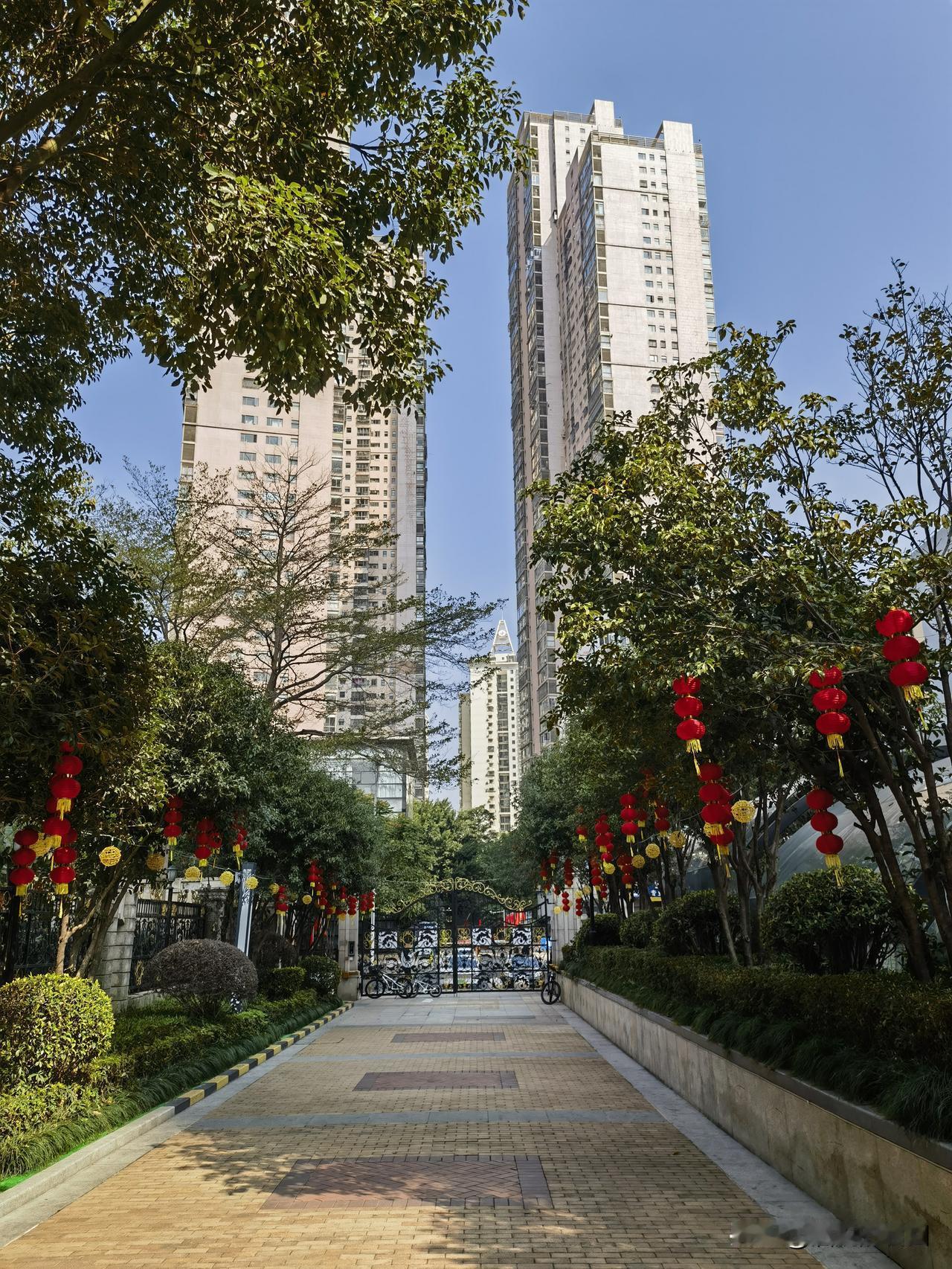 节日相聚的时刻总是短暂，
这几天渐渐的归于日常，
处处都是不舍得离别，
也许有一