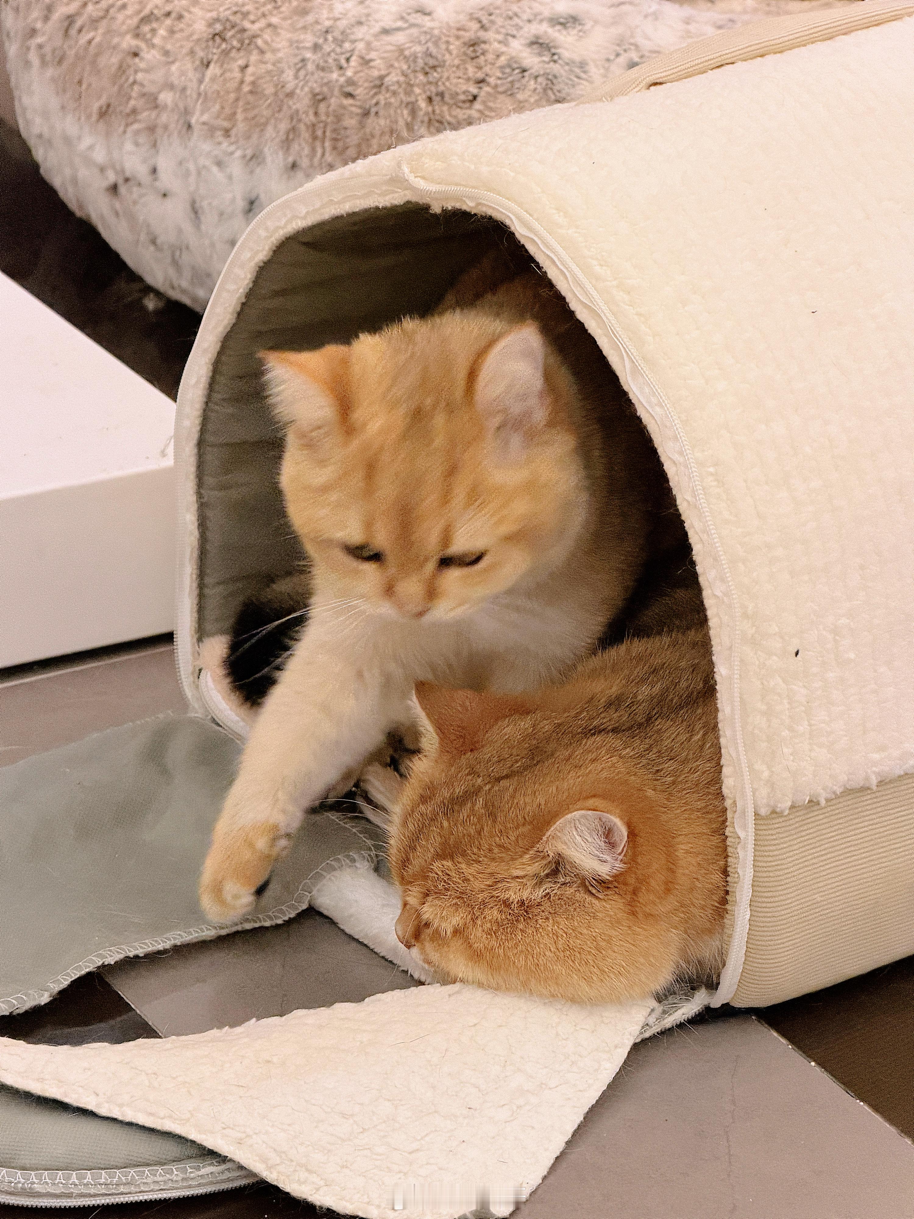 每一个转身都不轻松 但每一个脚步都算数 