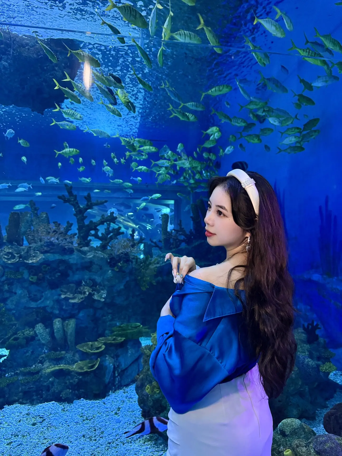下次见面就在海洋馆吧 🐋