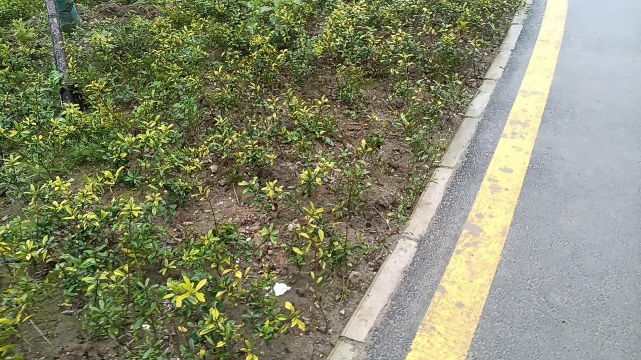 人工智能是否会毁灭人类，是科技界与社会长期热议的话题。从技术本质与现实发展来看，