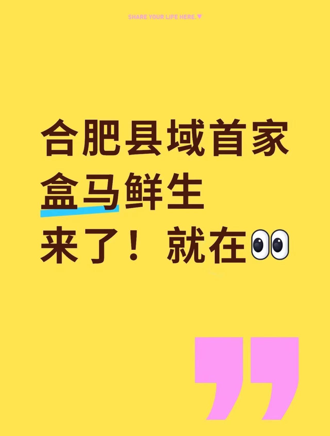 合肥县域首家盒马来了！就在北城万达！网友分享，盒肥县域首家盒马鲜生落户北城万达，