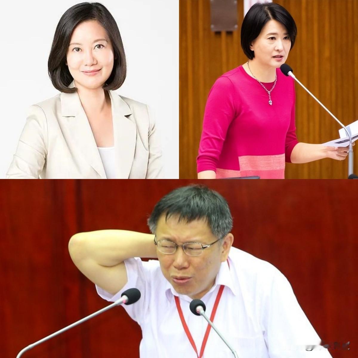 蓝绿民代在这方面达成共识，吴思瑶痛批怒骂，王鸿薇戒慎恐惧！柯文哲行骗天下，蓝绿共