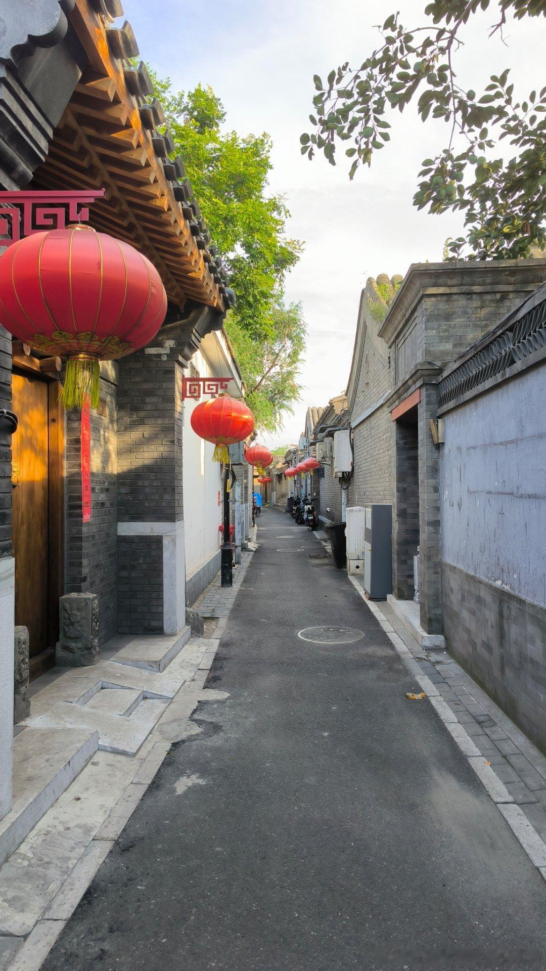 今年无君可见，无衣可扒 