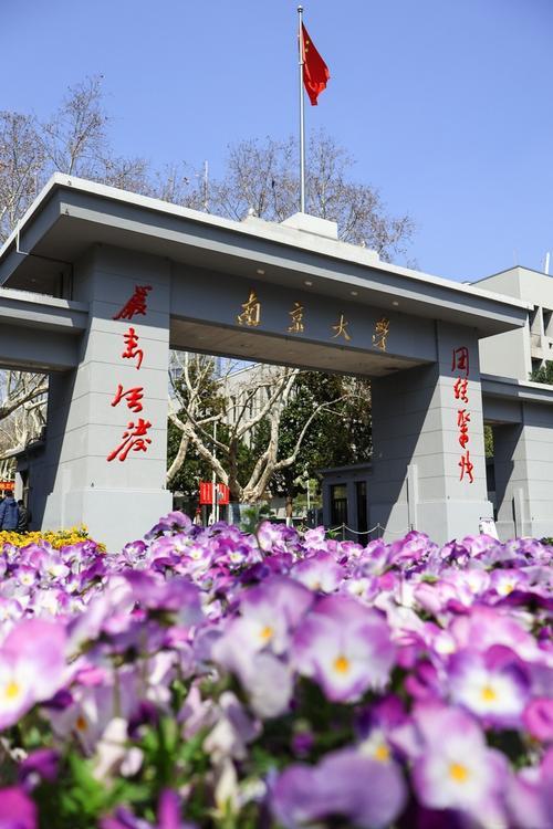 一句话不想干了！南大数学院长极简辞职信火出圈
