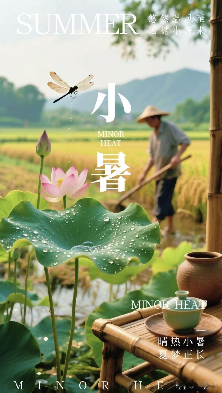 明日小暑是“恶日”，今年小暑牢记3个忌讳：1不沾、2不躺、3不吃
 
倏忽温风卷