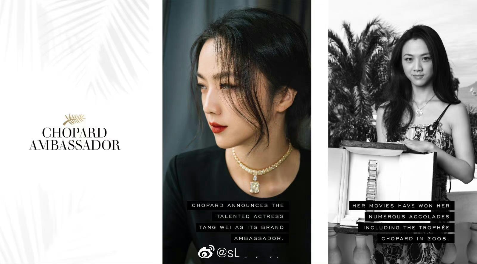  汤汤的下一个活动，会是什么？ ​​​
