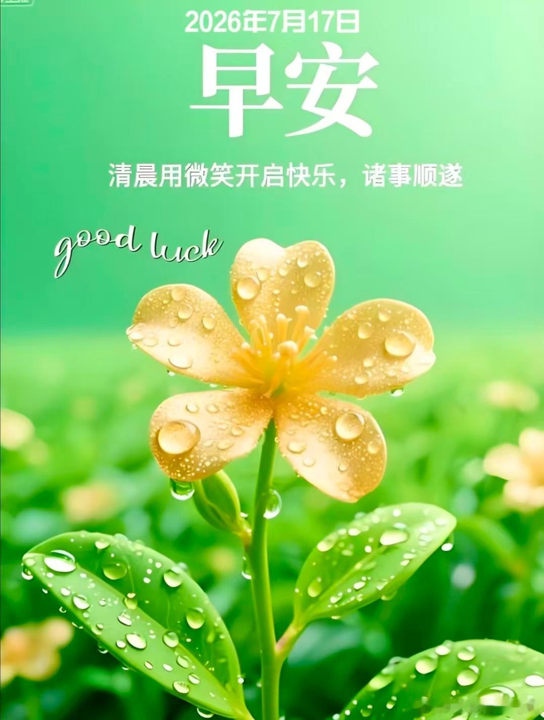 每一个崭新的日子，都是生活的馈赠。早安！黄金外汇黄金