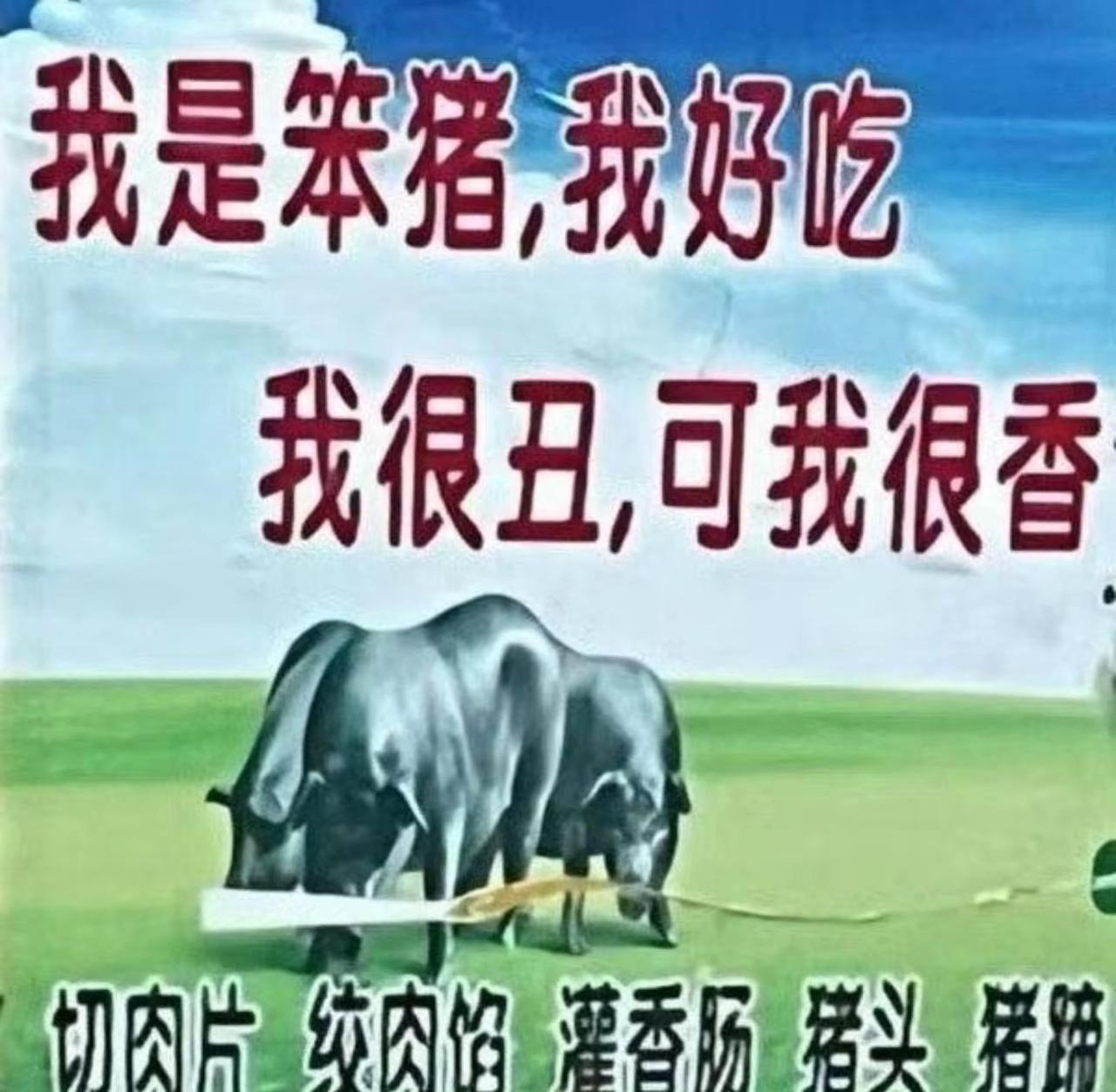 我可爱吗（测人心）金融常识 公考常识 公考干货 审美积累