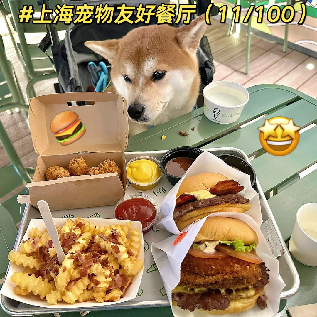 上海宠物友好餐厅打卡🍴（11/100）