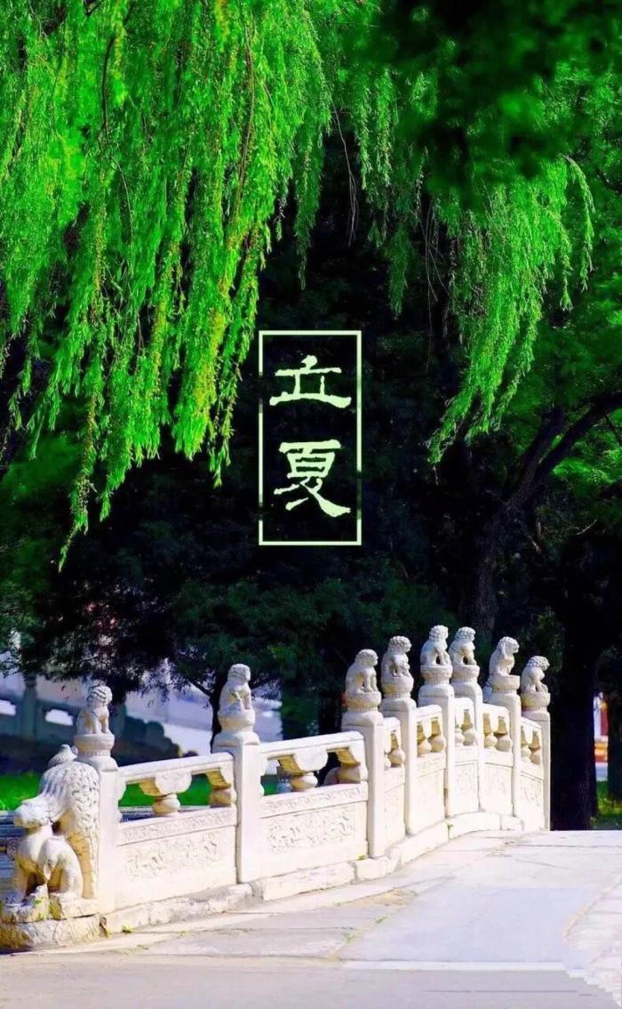 纷纷红紫已成尘，布谷声中夏令新！

在春意阑珊中，立夏款款来。一季花开，一季花落