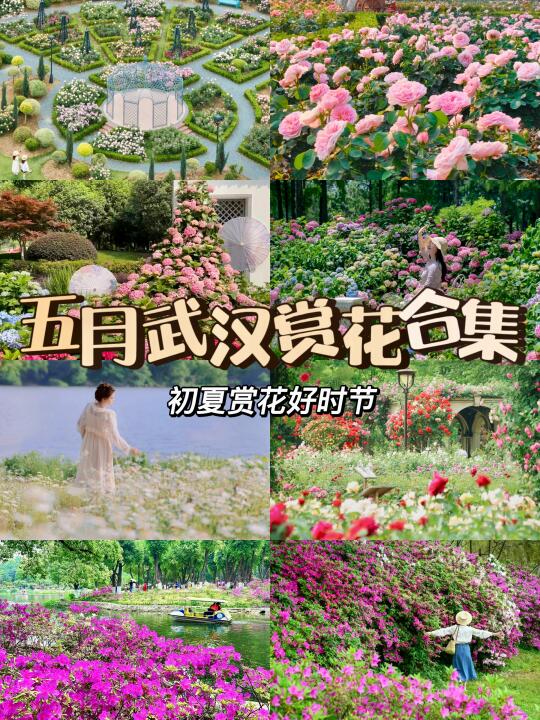 五月赏花好去处💐武汉你也太美啦！！！