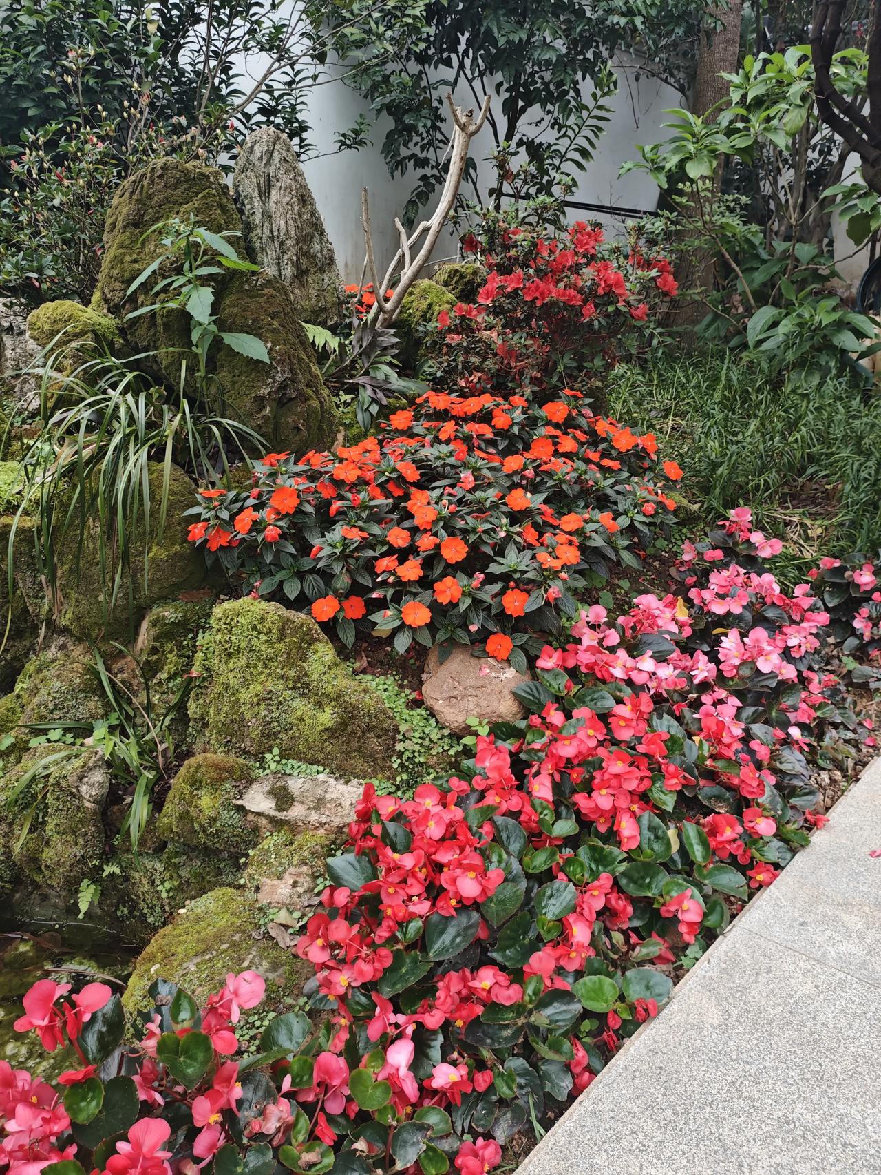 三月的青秀山到处是花团锦簇、姹紫嫣红。
但是，我最喜欢的还是这种中式园林曲径通幽