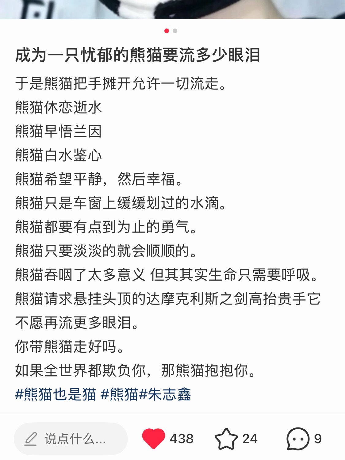 熊猫也是猫 成为一只忧郁的小熊猫要流多少眼泪☹️你带熊猫走好吗。朱志鑫和时代峰峻