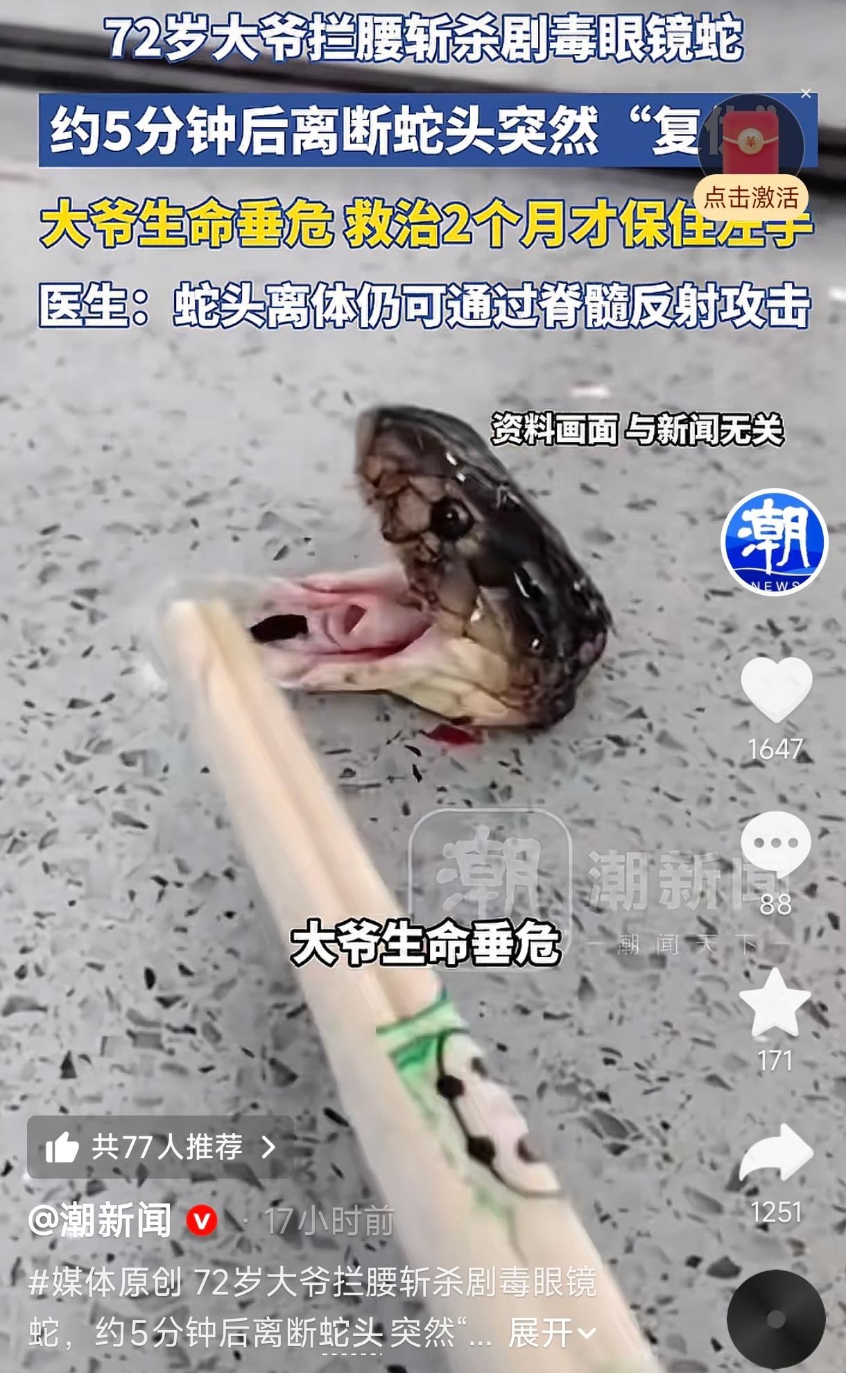 浙江诸暨，一72岁的张大爷（化名），河边钓鱼时偶遇一条眼镜蛇，用随身携带的铲子将