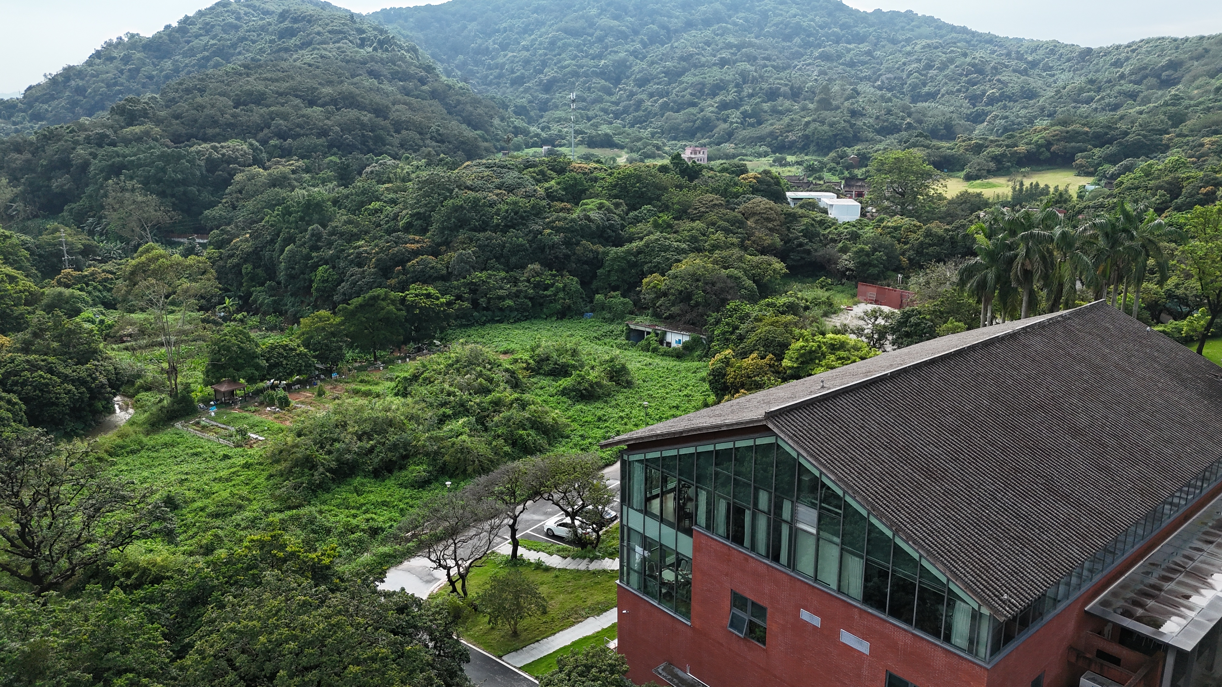 黄埔后花园 广州·黄埔红岭头红茶创意园