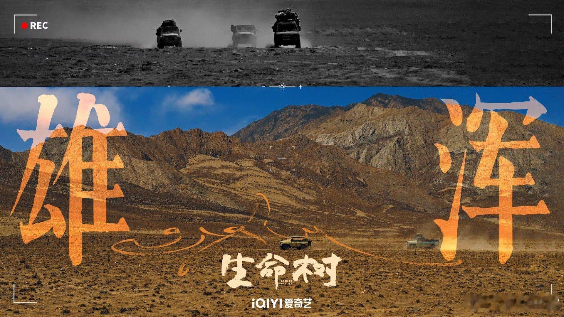 杨紫胡歌炬火灼灼海报杨紫 胡歌《生命树》海报真的很高级。静谧 雄浑 灿烂！富有生