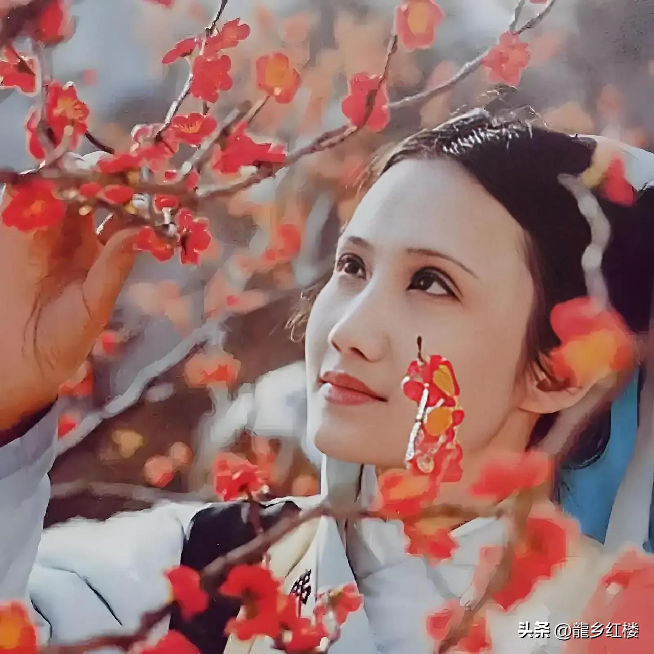 《红楼梦》作者究竟是谁，真的是头等大事吗？
我们一直看到，研究《红楼梦》作者似乎