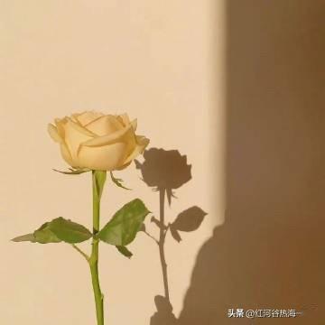 体制内那么多领导都不喜欢退休，也是体制内退休以后人走茶凉的太明显了。
就拿现在3