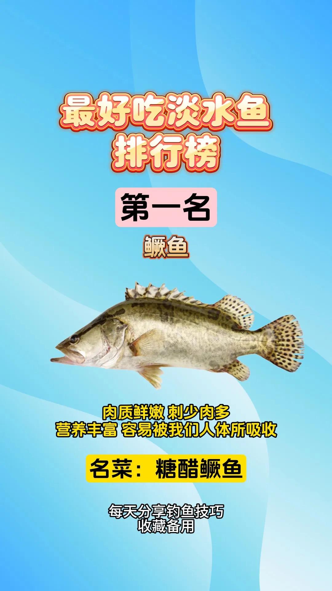 很多钓鱼人本身亦是美食的探寻者，因而每个钓鱼人总会绞尽脑汁去解锁新的鱼种，再将其