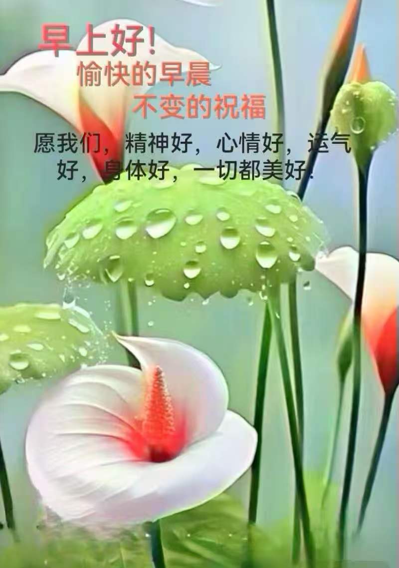 分享图片 南京