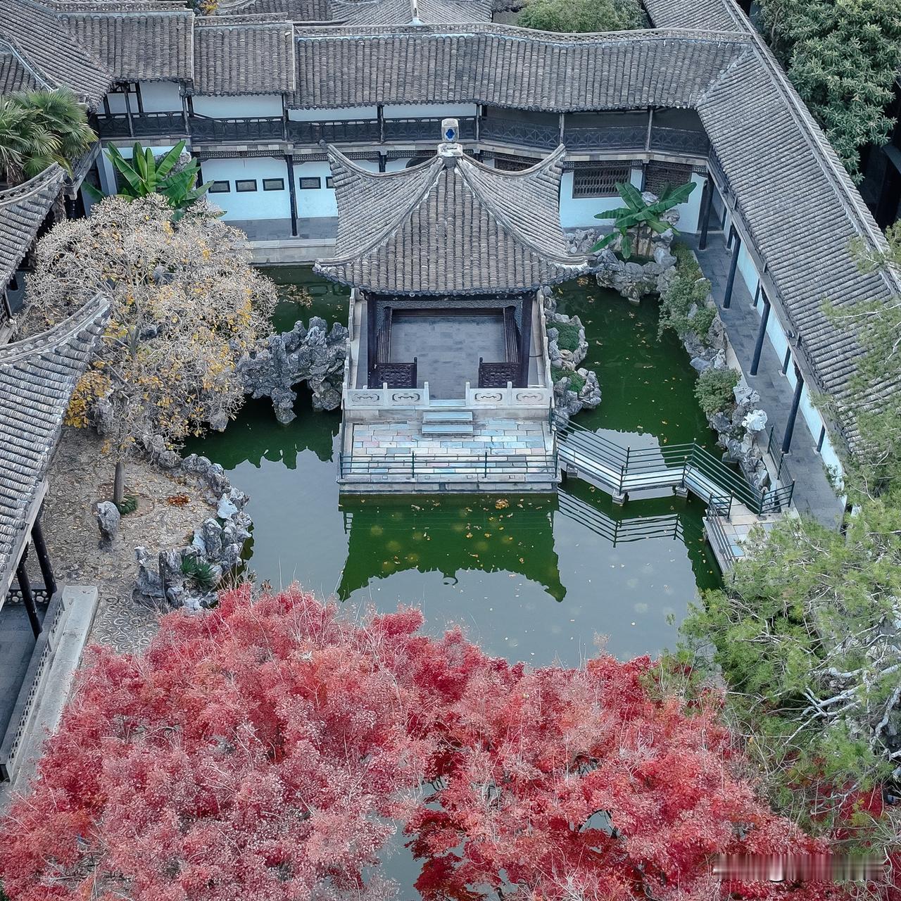 霜降后，扬州何园浸满秋韵。黛瓦粉墙间，枝叶缀霜，沐光舒展，尽显“晚清第一名园”风