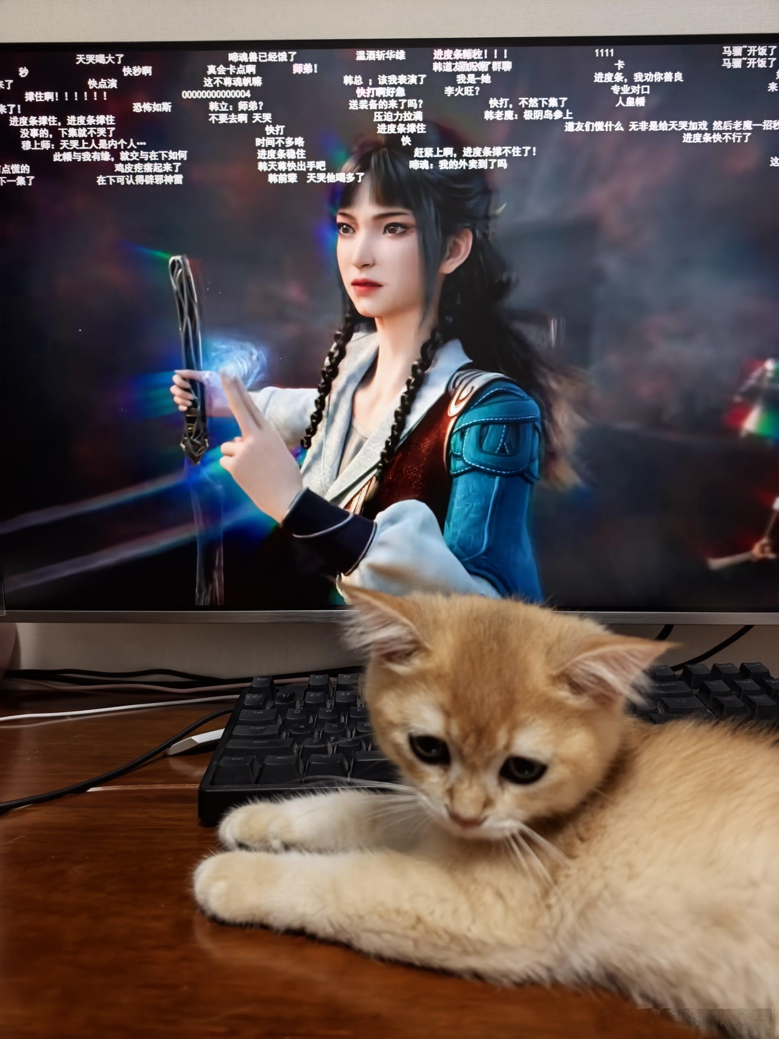一起看凡人修仙传金渐层