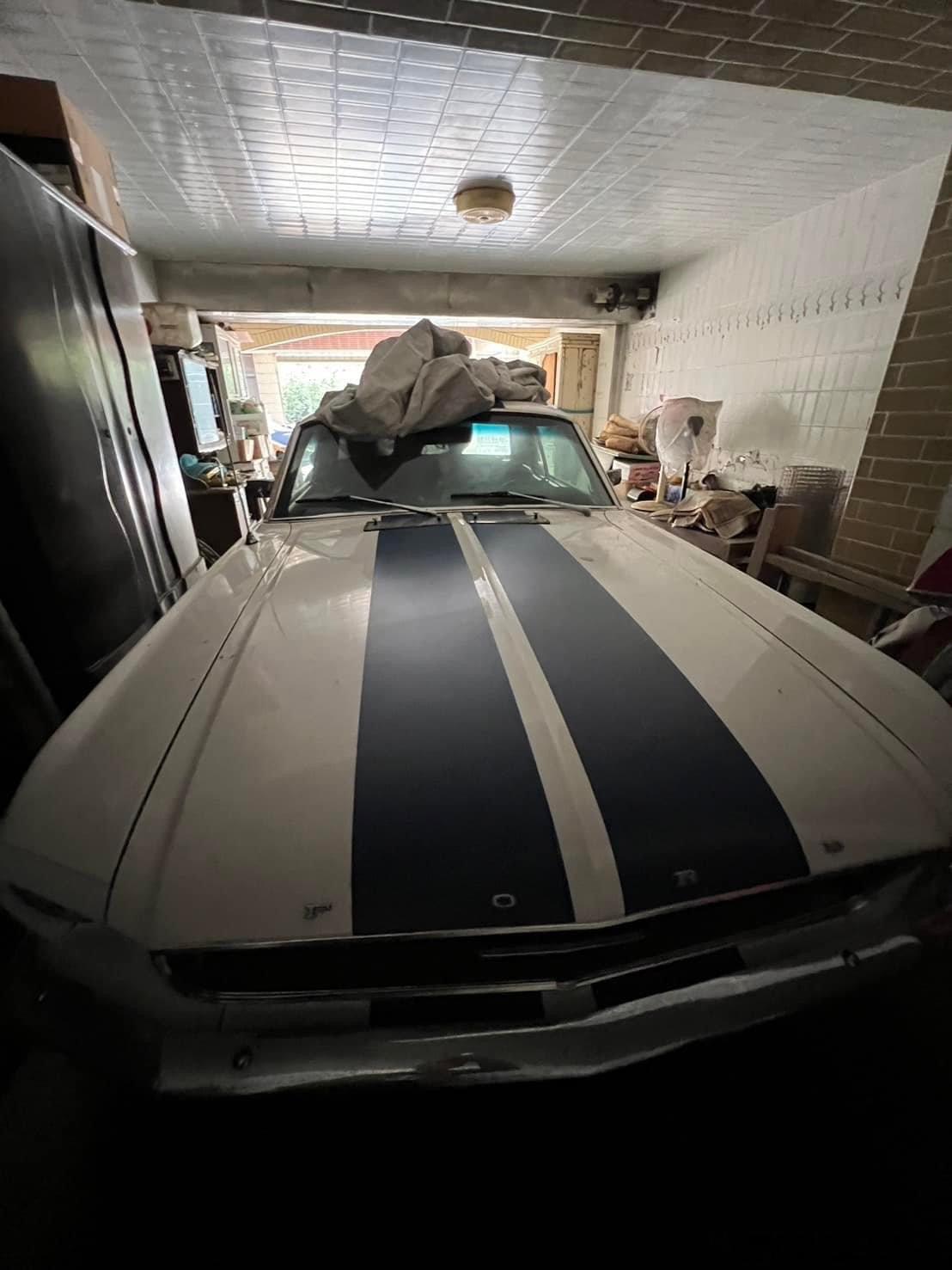 #台湾老车# 🇺🇸Ford Mustang ​​​